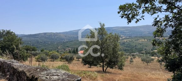 21000m² Land in Carrapichana, Portugal No. 221656 9