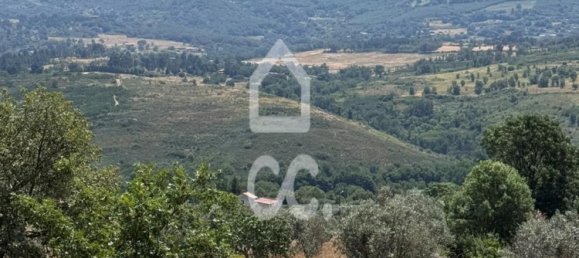 21000m² Land in Carrapichana, Portugal No. 221656 12