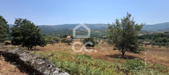 21000m² Land in Carrapichana, Portugal No. 221656 13