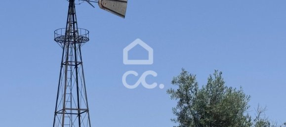 21000m² Land in Carrapichana, Portugal No. 221656 3