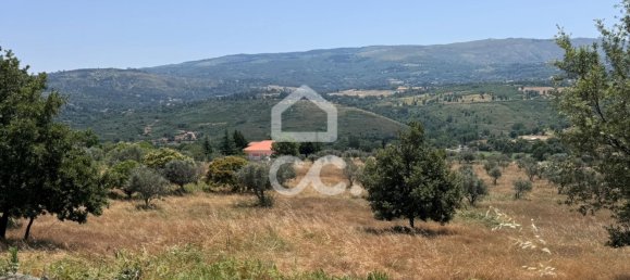 21000m² Land in Carrapichana, Portugal No. 221656 14