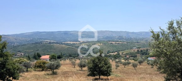 21000m² Land in Carrapichana, Portugal No. 221656 7