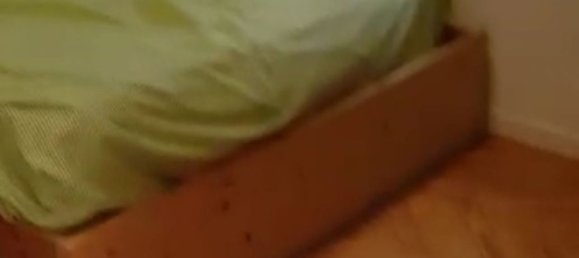 5 غرف نوم شقة في Madrid, Spain رقم 163083 4