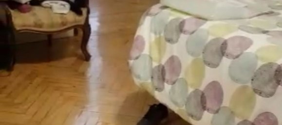 5 غرف نوم شقة في Madrid, Spain رقم 163083 5