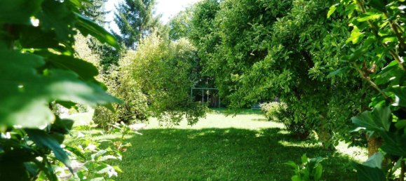 10 rooms House in Stockerau, Austria No. 207923 5