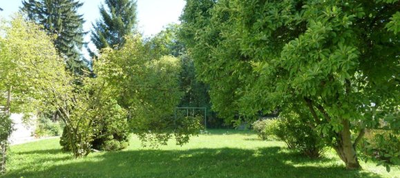 10 rooms House in Stockerau, Austria No. 207923 16