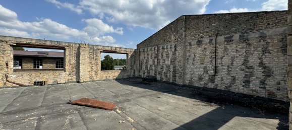 Terreno en Barnim, Germany No. 69749 44