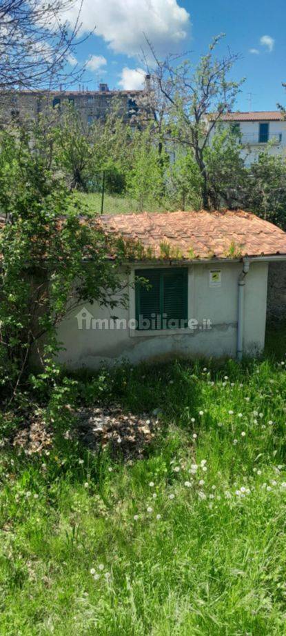 3 bedrooms House in Castel del Piano, Italy No. 267114