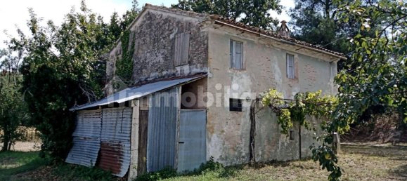 قطعة أرض في Corinaldo, Italy 13000متر مربع رقم 357759 8