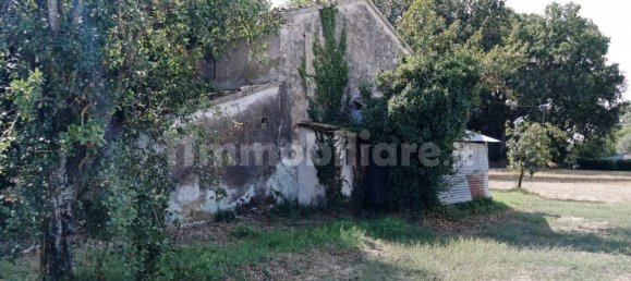 قطعة أرض في Corinaldo, Italy 13000متر مربع رقم 357759 5