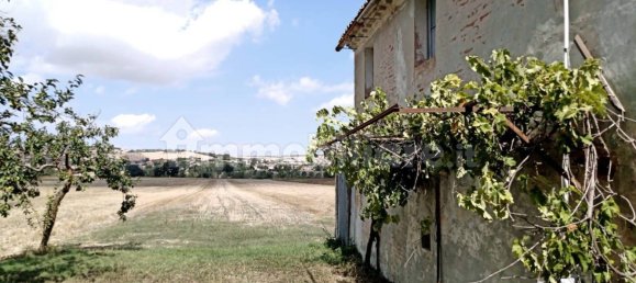 قطعة أرض في Corinaldo, Italy 13000متر مربع رقم 357759 7