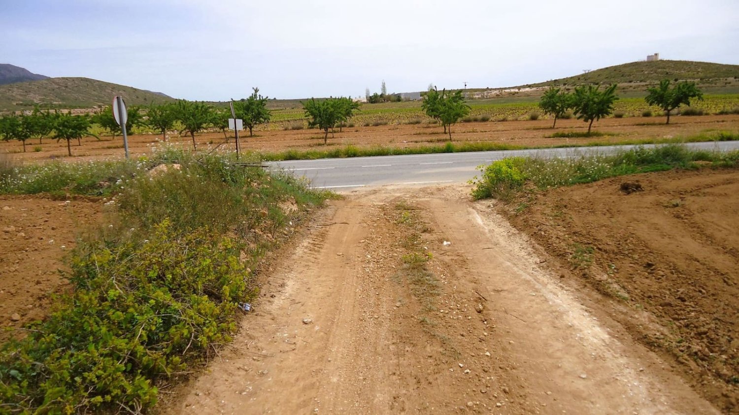  Land in Pinoso, Spain No. 223271