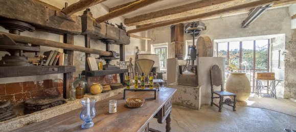 12 bedrooms Commercial property in Grasse, France No. 1414 4