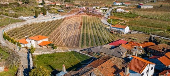 3 chambres Maison à Armamar, Portugal No. 22066 9