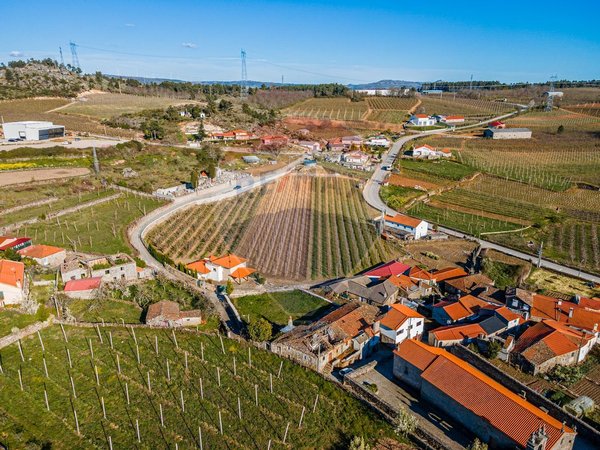 3 chambres Maison à Armamar, Portugal No. 22066