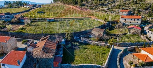 3 chambres Maison à Armamar, Portugal No. 22066 10