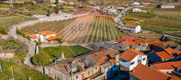 3 chambres Maison à Armamar, Portugal No. 22066 2
