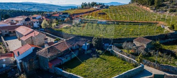 3 chambres Maison à Armamar, Portugal No. 22066 13