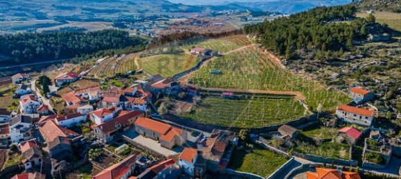 3 chambres Maison à Armamar, Portugal No. 22066 5