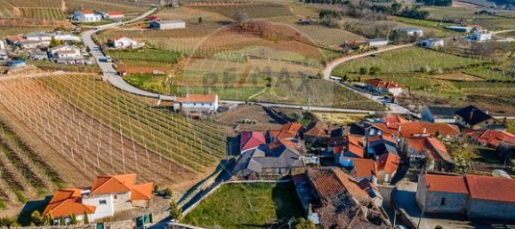 3 chambres Maison à Armamar, Portugal No. 22066 7