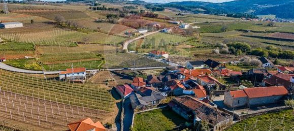 3 chambres Maison à Armamar, Portugal No. 22066 8