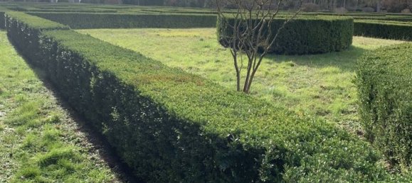 15 rooms Villa in Monteriggioni, Italy No. 222214 8