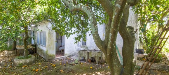 4 Schlafzimmer Haus in Crato, Portugal, Nr. 23904 30