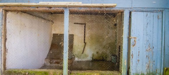 4 Schlafzimmer Haus in Crato, Portugal, Nr. 23904 32