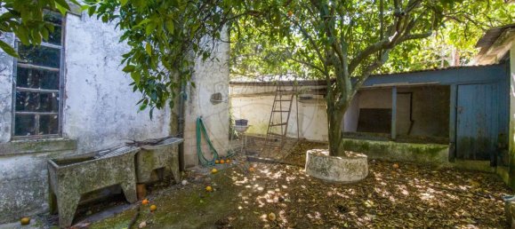 4 Schlafzimmer Haus in Crato, Portugal, Nr. 23904 31