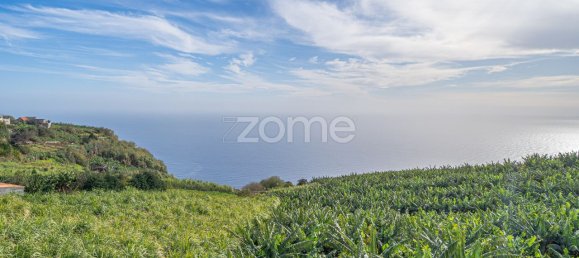 4 chambres Maison à Ponta do Sol, Portugal No. 146028 35