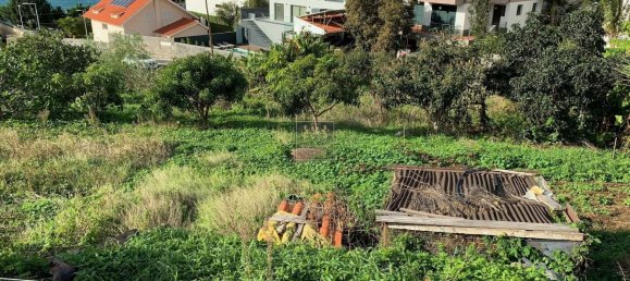 Terrain à Funchal, Portugal No. 146066 4