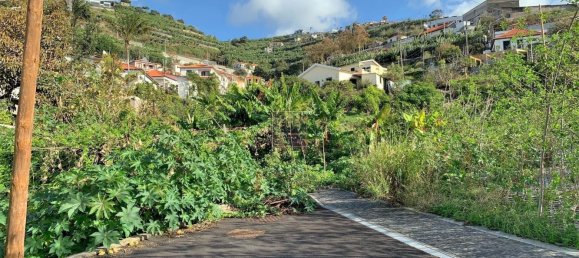 Terrain à Funchal, Portugal No. 146066 3