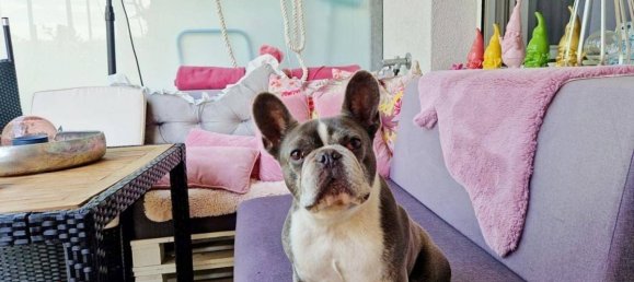 2 Schlafzimmer Wohnung in Seekirchen am Wallersee, Austria, Nr. 203500 20