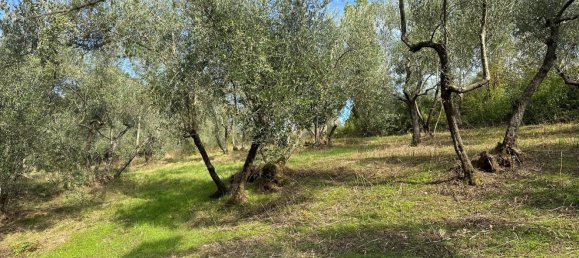 9 rooms Villa in Sesto Fiorentino, Italy No. 225464 15