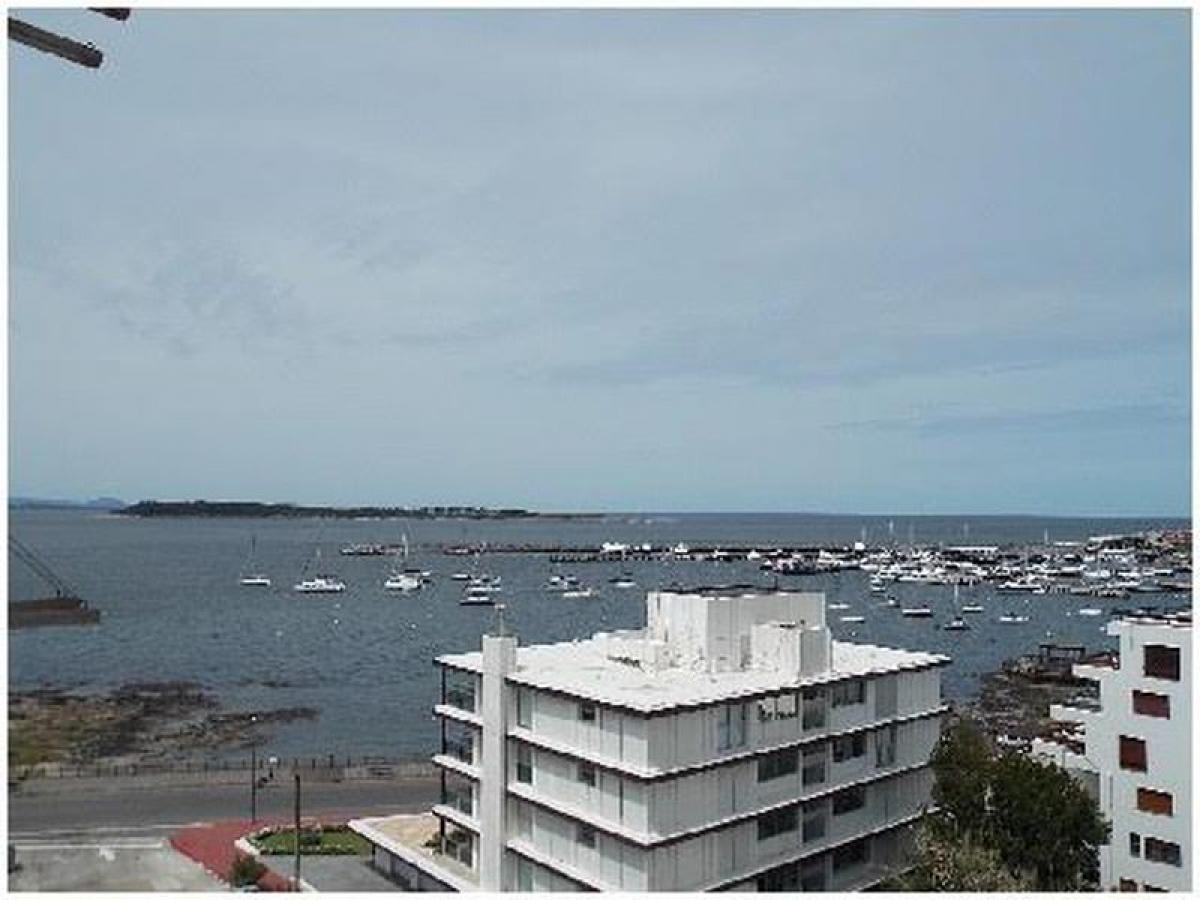 2 bedrooms Apartment in Maldonado, Uruguay No. 11745