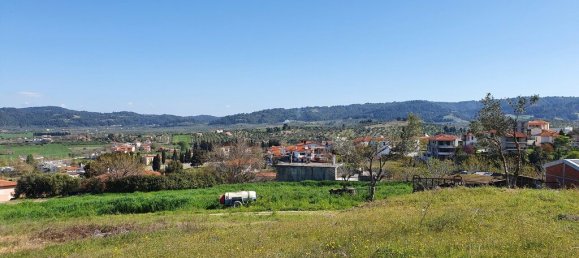 Hotel in Chalkidiki, Greece 6400m², Nr. 3959 4