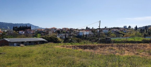 Hotel in Chalkidiki, Greece 6400m², Nr. 3959 5