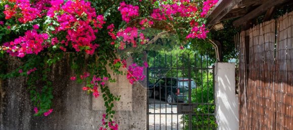 15 chambres Villa à Calatabiano, Italy No. 326114 19