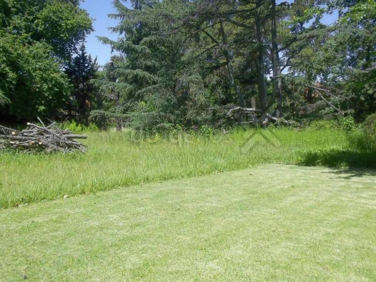 Terreno em San Isidro, Argentina N.º 42733