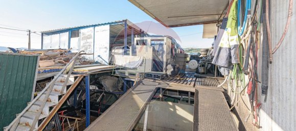 Lagerhaus in Vialonga, Portugal 408m², Nr. 69634 29