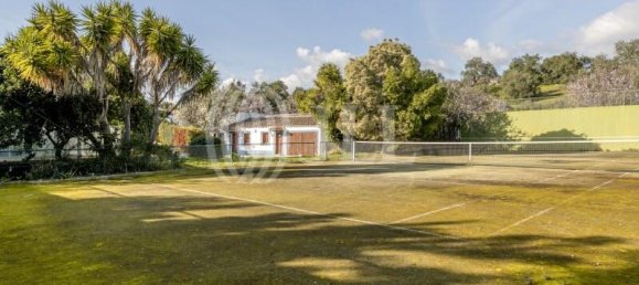 14 bedrooms Villa in Loule, Portugal No. 99370 37