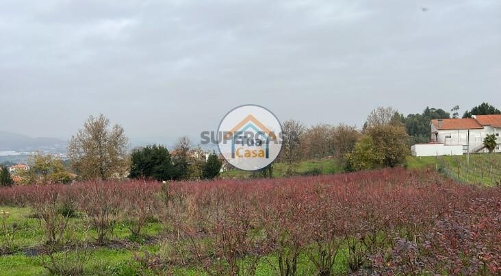  Land in Amarante, Portugal No. 254742