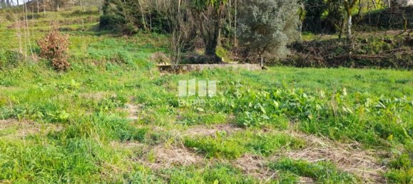 2583m² Land in Amarante, Portugal No. 61813 5