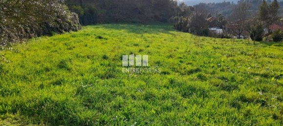 2583m² Land in Amarante, Portugal No. 61813 15