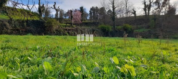 2583m² Land in Amarante, Portugal No. 61813 16