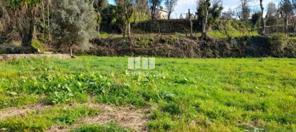 2583m² Land in Amarante, Portugal No. 61813 6