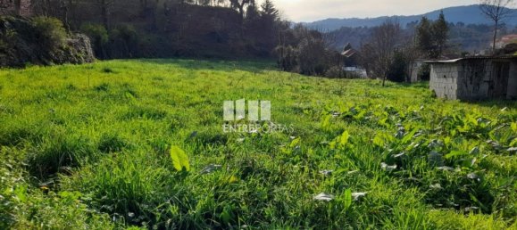 2583m² Land in Amarante, Portugal No. 61813 13