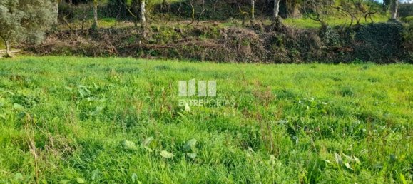 2583m² Land in Amarante, Portugal No. 61813 20