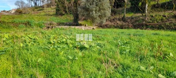 2583m² Land in Amarante, Portugal No. 61813 18
