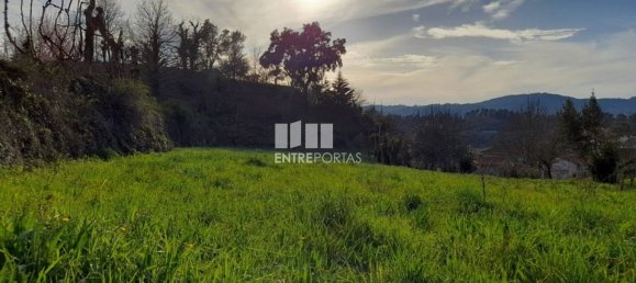 2583m² Land in Amarante, Portugal No. 61813 11